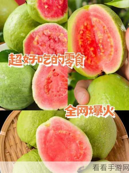 草莓视频芭乐十八：探索草莓视频与芭乐十八的精彩世界，体验无限乐趣！