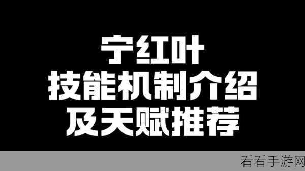 宁红夜被黑客攻击的原因和解决方法：宁红夜黑客攻击成因分析及应对策略探讨