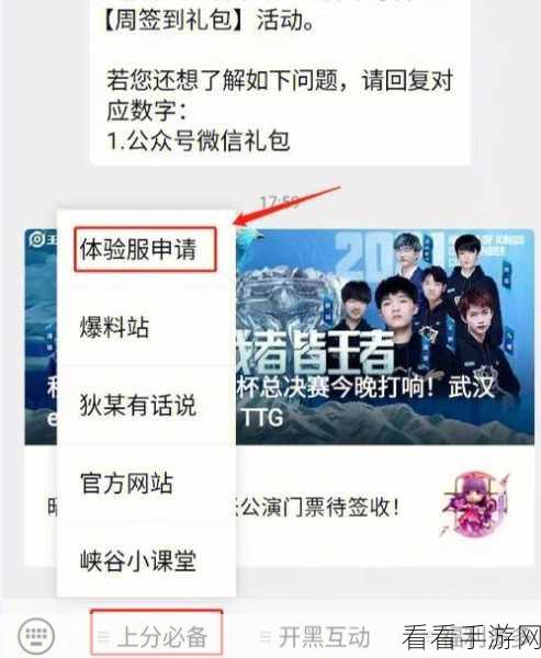 王者荣耀体验服账号申请全攻略，解锁独家赛事与英雄抢先体验
