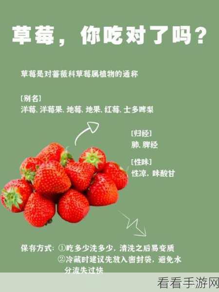 草莓视频a:探索草莓视频A:畅享无限精彩与创意的视听世界