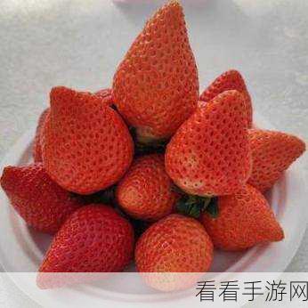 草莓视频a:探索草莓视频A:畅享无限精彩与创意的视听世界