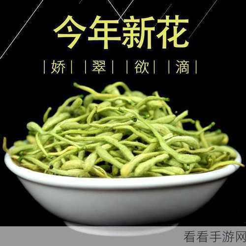 银色器物TXL金银花:银色器物的魅力与金银花的芬芳交融探寻
