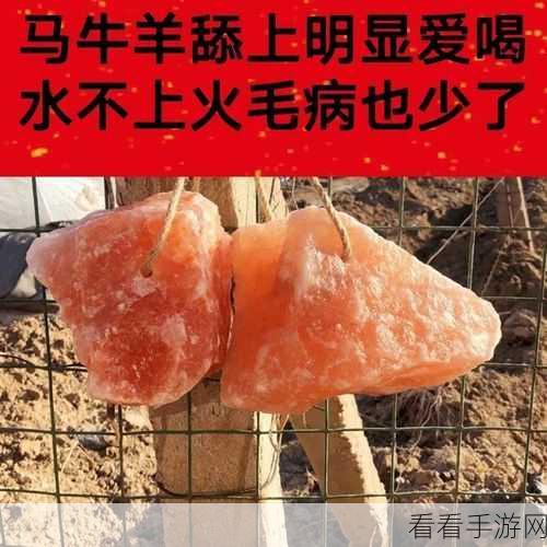 矿砖2022免费：2022年矿砖拓展活动全面免费，助力新用户参与体验！