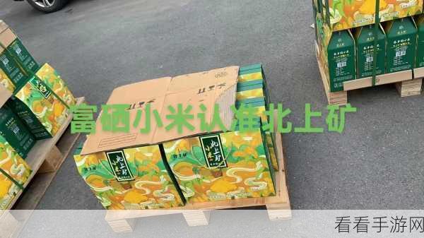 矿砖2022免费：2022年矿砖拓展活动全面免费，助力新用户参与体验！