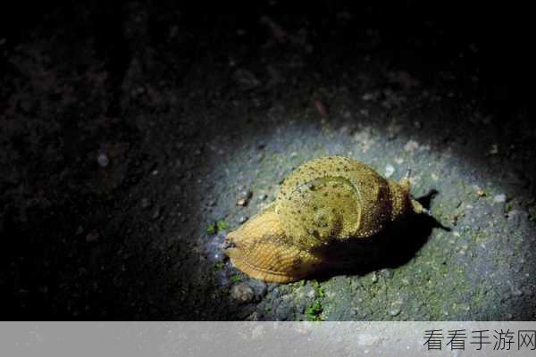 x7x7x7任意噪108暗夜：神秘暗夜：探寻108个噪音与幻影的奇妙世界