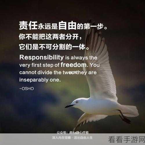 已满十八点此进入h：探索成年后的新世界，尽情享受自由与责任的平衡