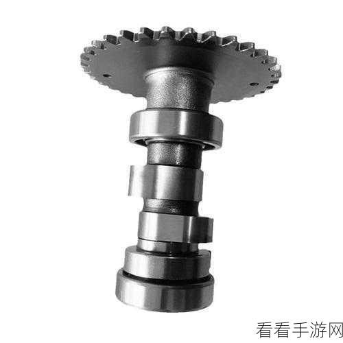 凸轮场景自由管性别：探索拓展凸轮场景中的自由管性别角色与表现