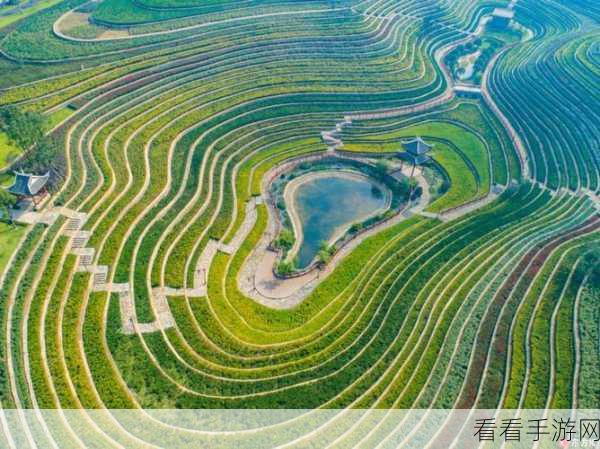 大地中文资源官网:探索与分享:拓展大地中文资源官方网站全新上线