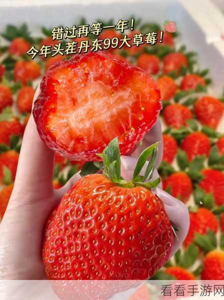 草莓视频.xyz:探索草莓视频.xyz,尽享高清精彩内容与无限乐趣。