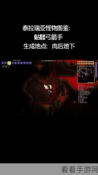 泰拉瑞亚深度攻略,揭秘金血条获取全攻略,助你战力飙升