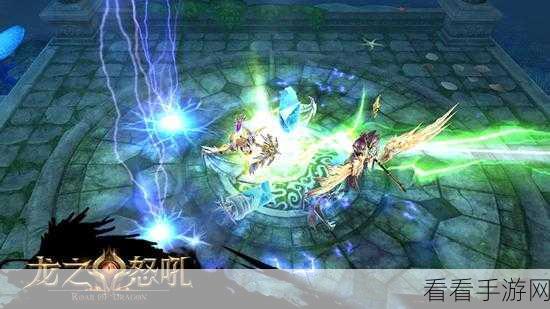 龙之怒吼，新手攻略与实力提升秘籍