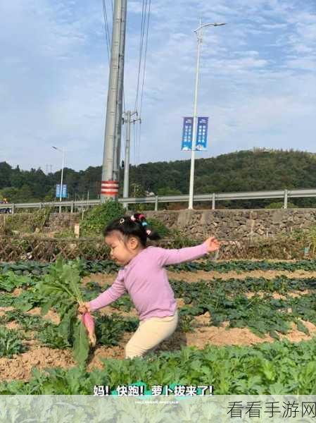 在被子里打扑克拨萝卜：在温暖被窝中打扑克，享受拨萝卜的乐趣和放松。