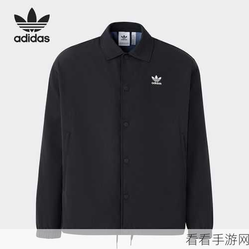 三叶草m码和欧洲码的对比:三叶草M码与欧洲码的详细对比解析与指南