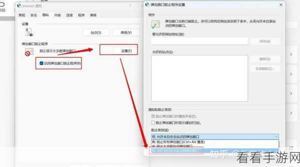 不良网站进入窗口软件打开：如何安全地管理和阻止不良网站的访问窗口软件