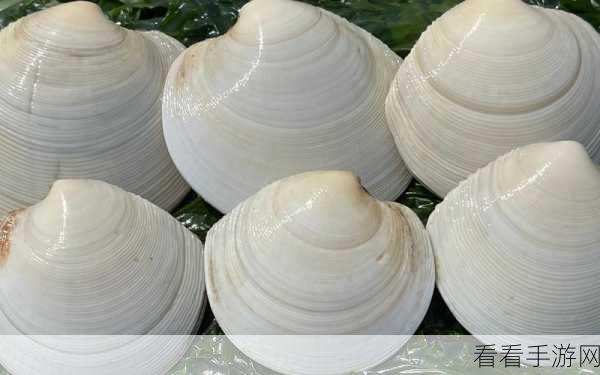 赶海王必备！揭秘11抽坑神器月亮贝的高效攻略