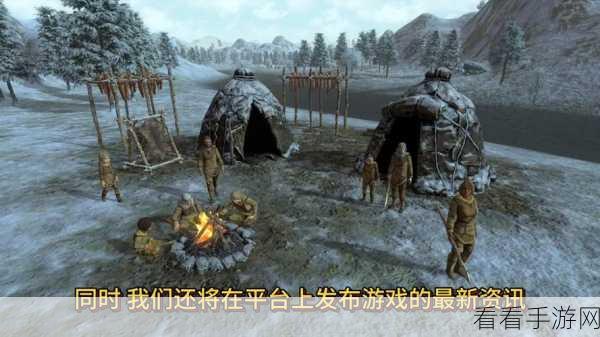 揭秘生存挑战手游，内部玩家不为人知的竞技策略与细节