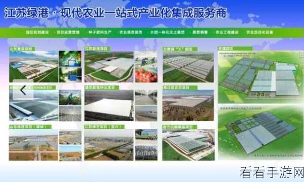 国产一二三:探索国产一二三的创新与发展之路,助力产业升级