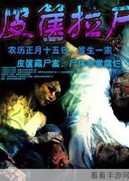 yw193龙物失联:YW193龙物失联事件背后的真相与猜测探讨