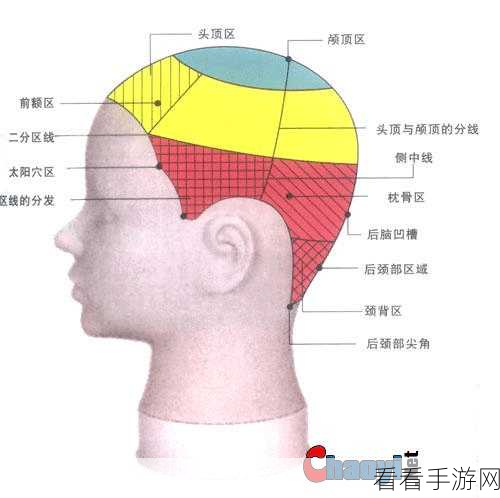 日韩一分区和二分区的区别：日韩一分区与二分区的区别详解及影响分析