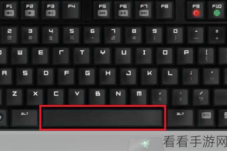 电脑版 Word 文档按空格删字的完美解决之道