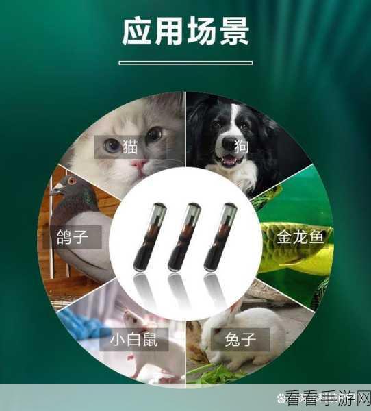 漫蛙防走失网页入口：防走失小助手：拓展漫蛙网页入口，保护你的爱宠安全