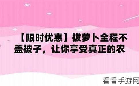 不置打扑克不该盖被子：不打扑克也能享受生活，不必盖被子放松心情