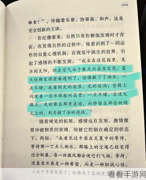 www.17：探索奇妙世界：17个改变生活的小秘诀与灵感分享