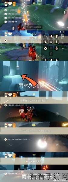 光遇雨林探险,揭秘黑暗藤蔓中的鳐鲲藏匿之谜