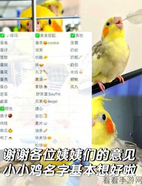 手游新知，蚂蚁庄园揭秘——食盐过量对小鸡影响大揭秘！
