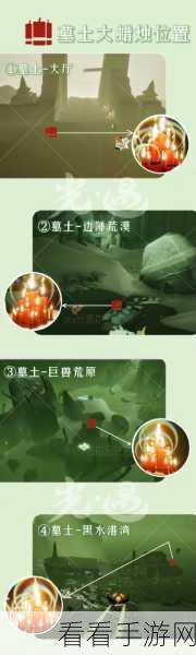 光遇深度攻略,净化十株黑暗植物的奥秘与意义全揭秘