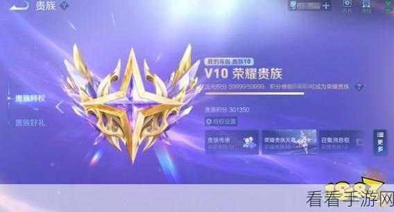 王者荣耀V10贵族特权揭秘,如何优雅共享炫酷皮肤?