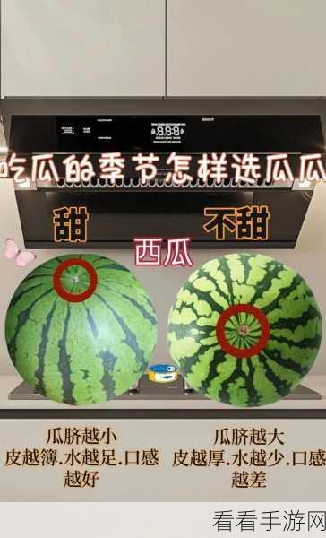 51cg今日吃瓜热门大瓜必看大瓜:今日必看:51cg热议吃瓜大事件,精彩纷呈不容错过!