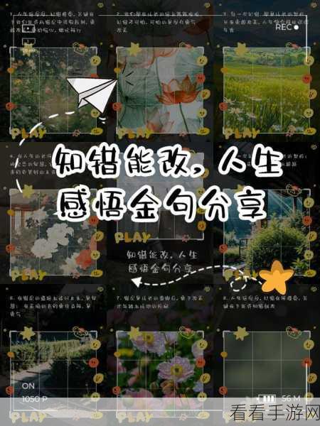 知道错了请主人教训:“请主人教我改正错误,让我更好地成长”