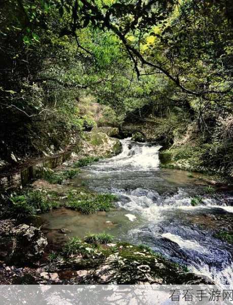 桃花洞口已是溪水潺潺是什么意思：溪水潺潺流淌，桃花洞口别样风情尽显