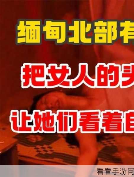 缅甸外网恐怖网站入口：缅甸境外恐怖网站入口扩展及相关信息解析