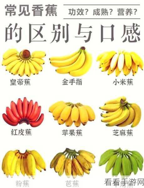 香蕉视频@com.:探索香蕉视频的精彩世界:乐趣无穷,尽在掌握!