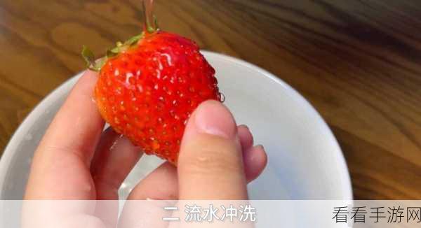 草莓视频黄色视频:探索多元化视频内容,享受草莓视频的精彩体验!