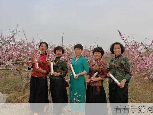 桃花岛cm7官网的特色介绍:探索桃花岛CM7官网的独特魅力与精彩内容