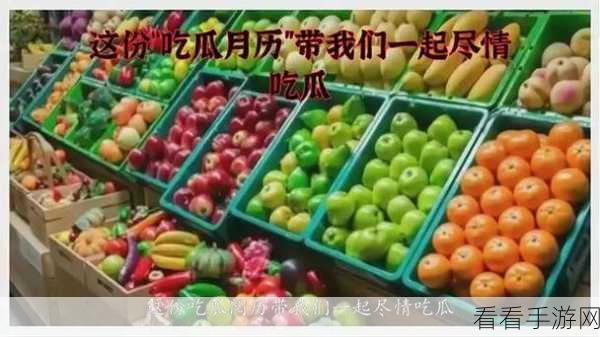 五一吃瓜今日入口：五一假期畅享美味瓜果，尽情体验夏日清爽滋味！