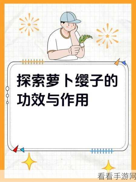 光腿拨箩卜:光腿拨箩卜:挑战传统饮食,探索健康新风尚