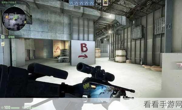 暴躁老阿姨玩csgo：暴躁老阿姨的奇幻CSGO之旅：战斗与幽默并存！