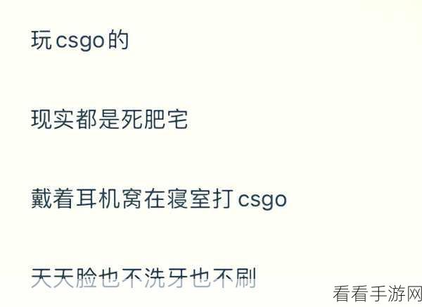 暴躁老阿姨玩csgo：暴躁老阿姨的奇幻CSGO之旅：战斗与幽默并存！