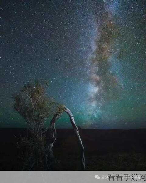 星空无限免费货源：探索星空无限：获取免费货源的新途径与技巧