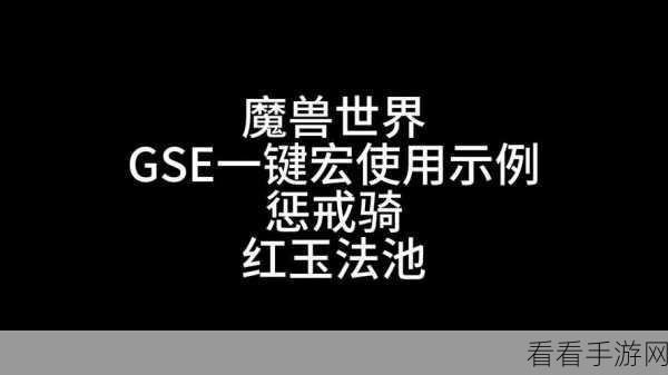 惩戒骑 一键宏：全面解析惩戒骑一键宏的实用技巧与应用方法