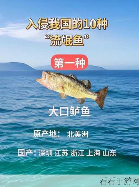 七日世界鱼潮涌动时间钓不上鱼：七日世界鱼潮涌动，钓鱼无果令人失落之旅