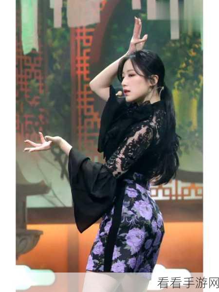 公与秀婷厨房猛烈进出演员表:拓展公与秀婷厨房的激烈对决:演员阵容全揭秘