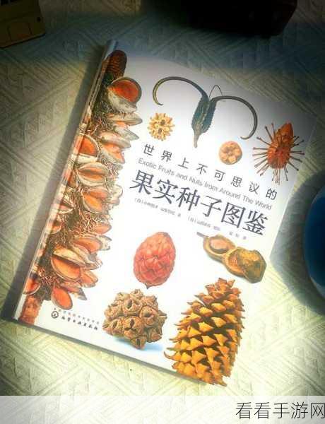 种子搜：探索种子搜的无限可能：开启你的搜索新体验