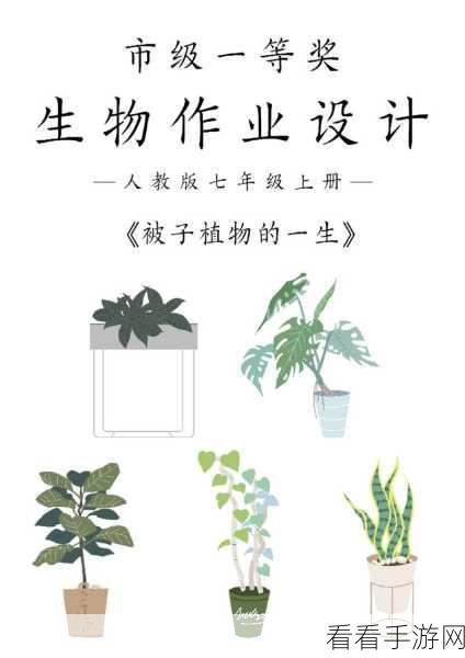 种子搜：探索种子搜的无限可能：开启你的搜索新体验
