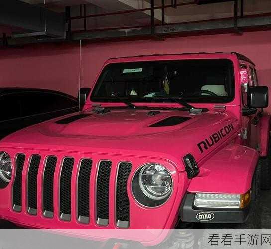 桃红色jeep界人口的功能介绍：探索桃红色Jeep界的独特魅力与多样功能介绍