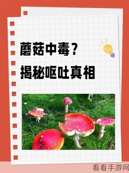 蘑菇黑料视频：探索蘑菇黑料视频背后的秘密与真相揭秘